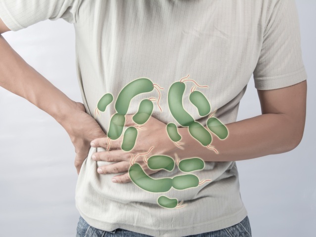 Salmonelóza, infekcia, prevencia, baktérie,