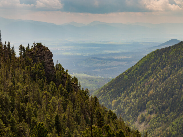 Prales, Tatry