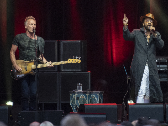 Sting Shaggy