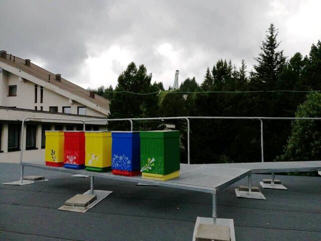 včelstvá, Apis Carpatia, Hotel FIS, Vysoké Tatry,