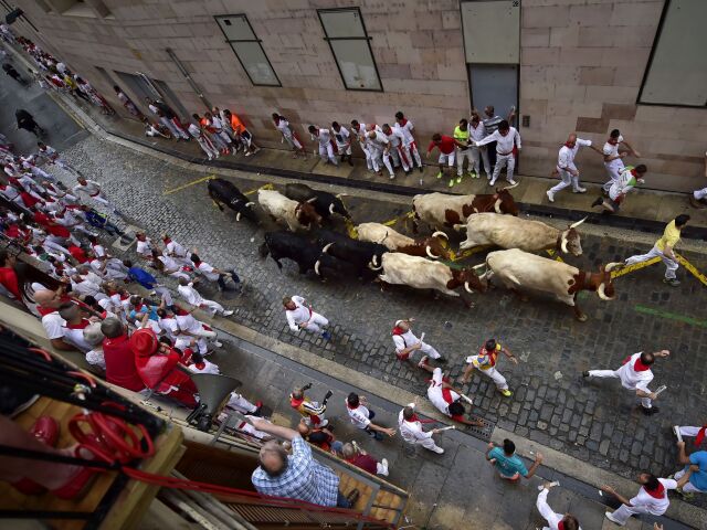 beh s býkmi, pamplona,