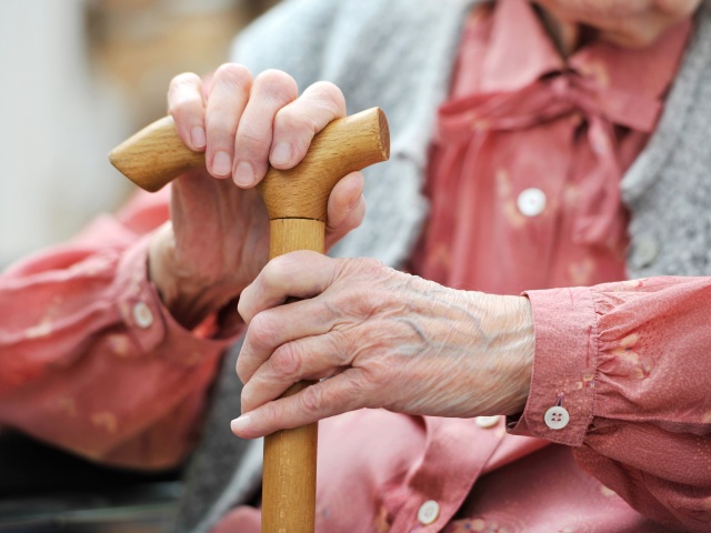 seniori