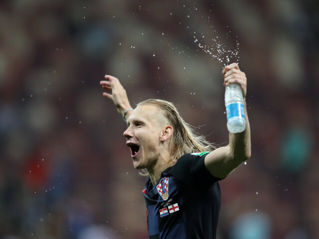 Domagoj Vida