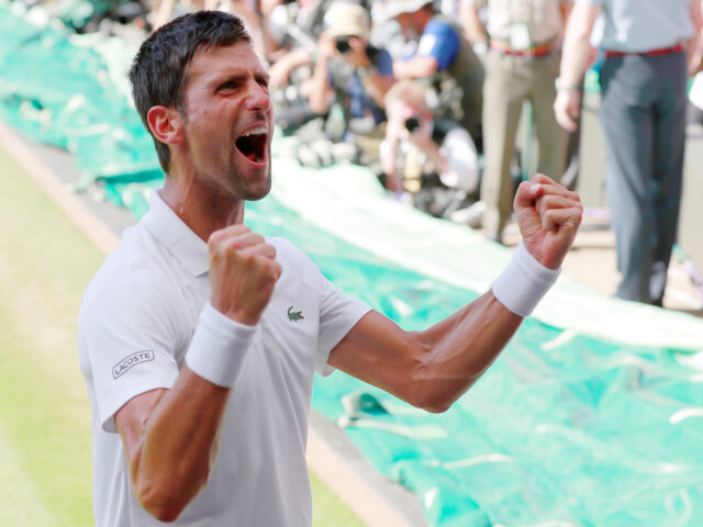 djoko tenis