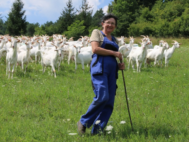 PD Mestečko, farma, kozy, Alena Hedlíková