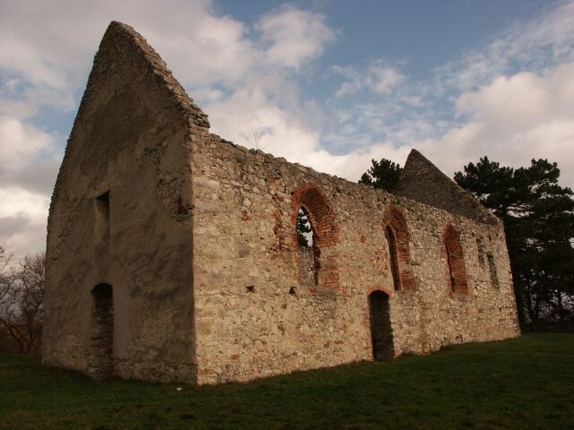 Haluzice