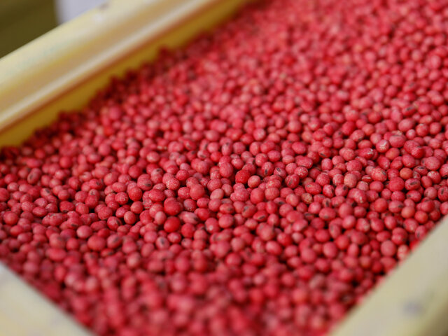 sója, gmo, usa