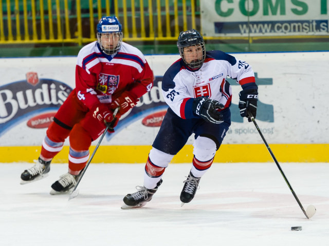 HOKEJ: Slovensko - česko 18 rokov