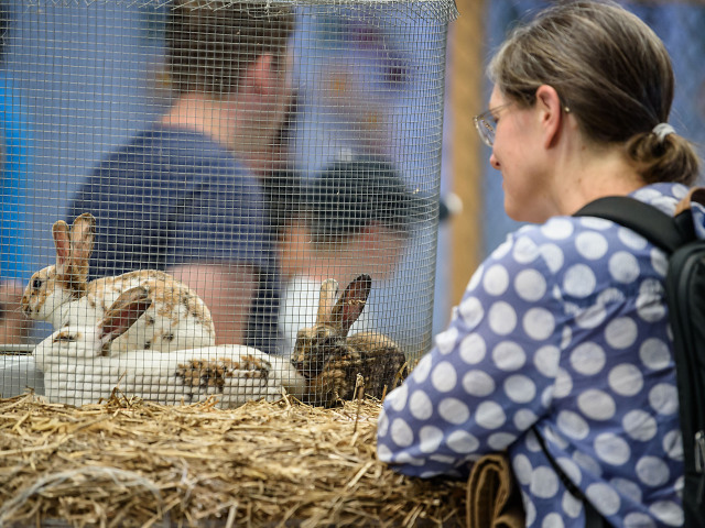 Agrokomplex Nitra 2018