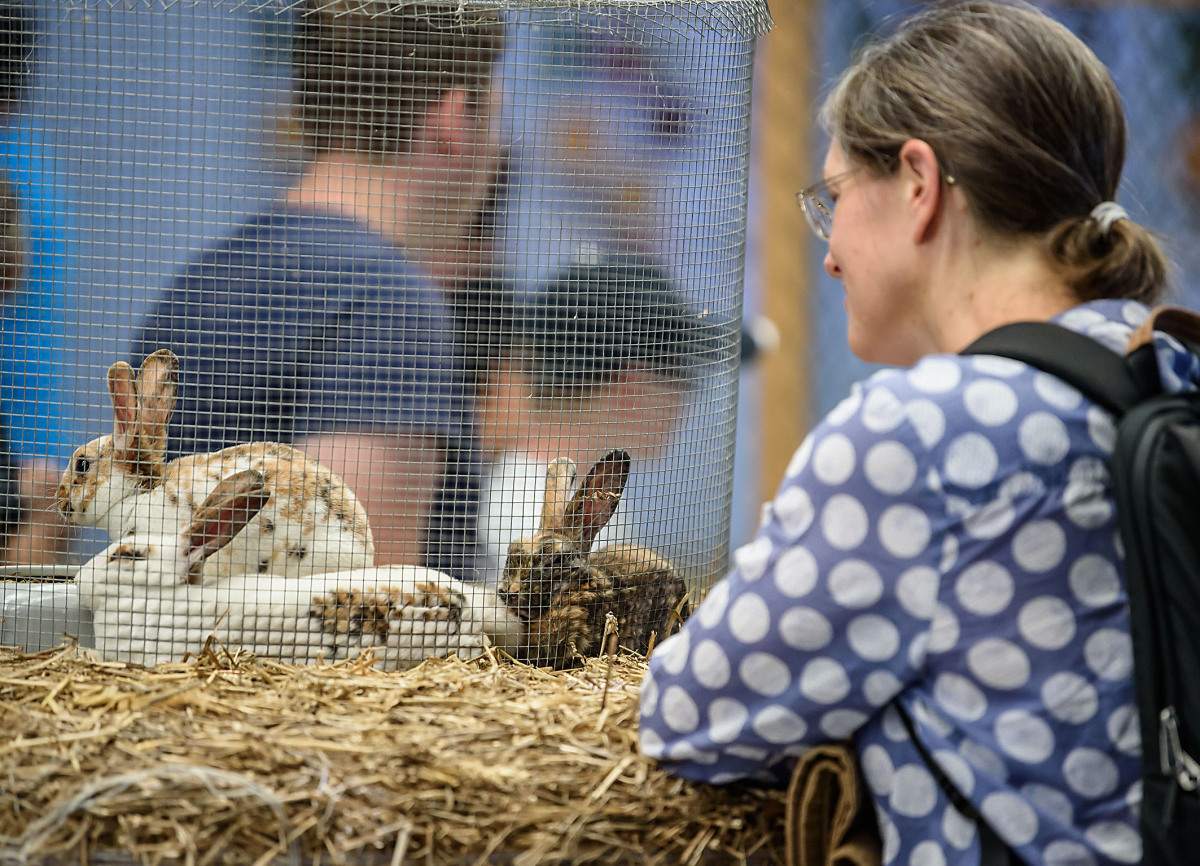 Agrokomplex Nitra 2018
