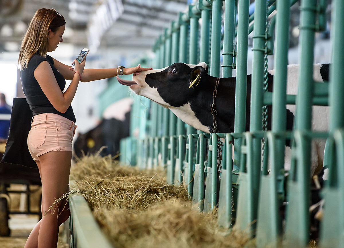 Agrokomplex Nitra 2018