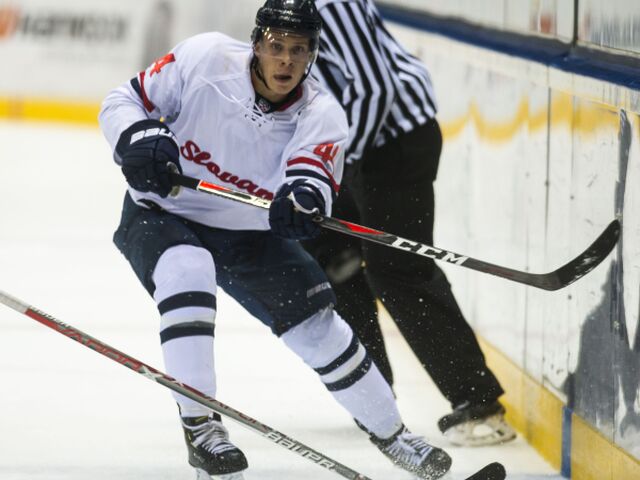 Adam Liška