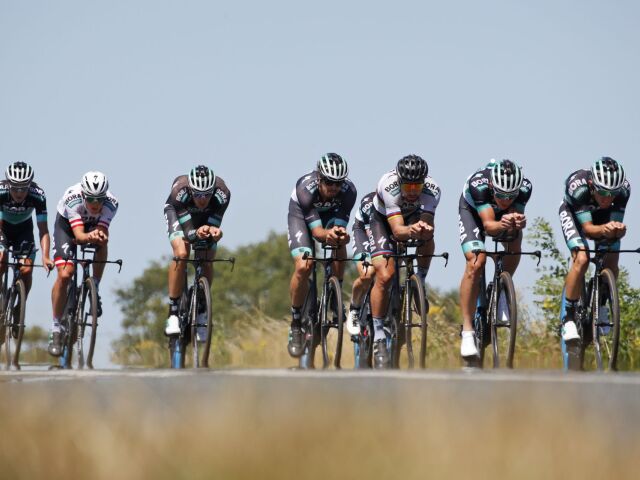 Sagan Bora cyklistika
