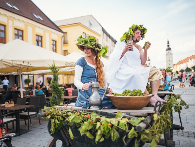 Stredoveka presovacka zdroj foto Trnava Tourism  3 