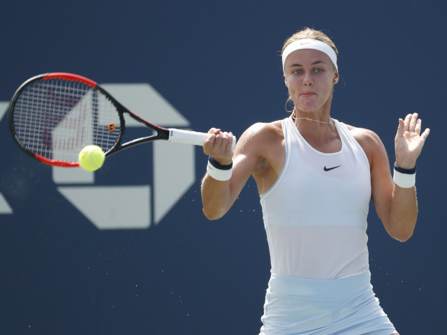 tenis schmiedlová