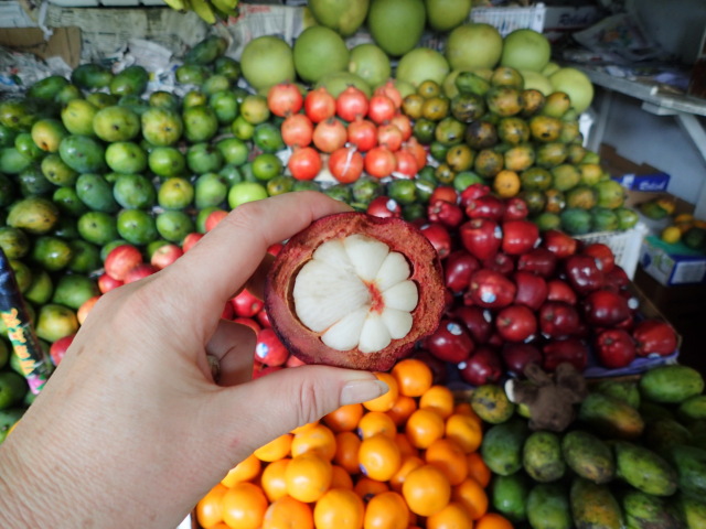 mangostána ovocie Srí Lanka mangostin 