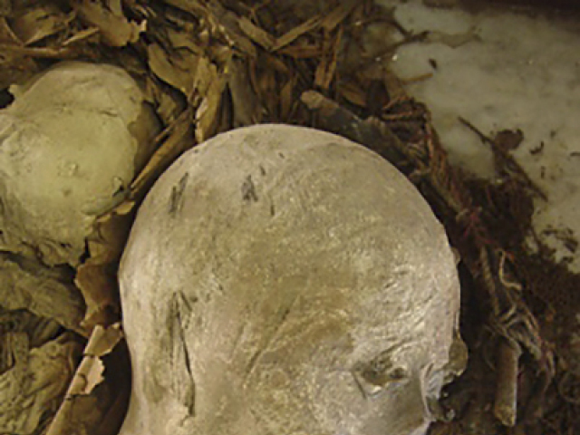 Brazil Rio Museum Fire Glance