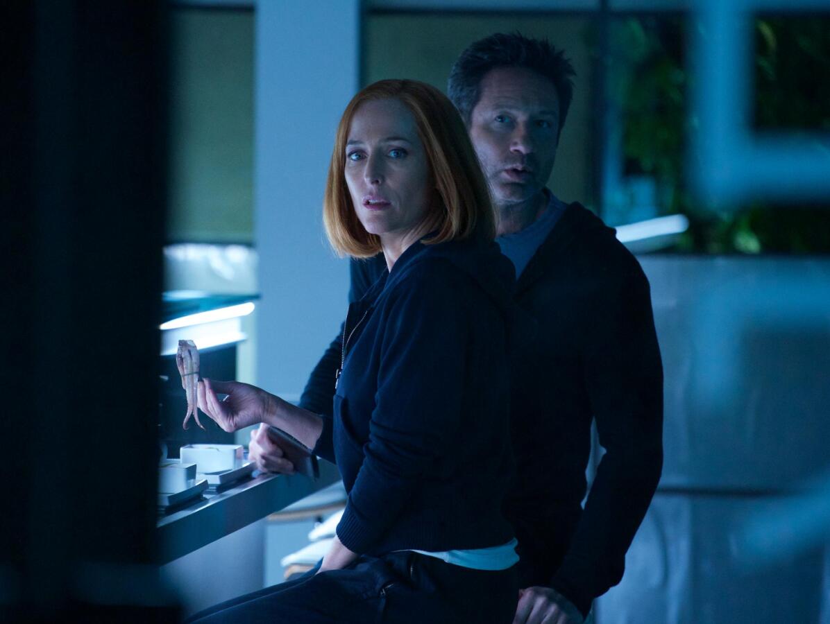 akty x, x-files, mulder, scullyová, david duchovny, gillian anderson,