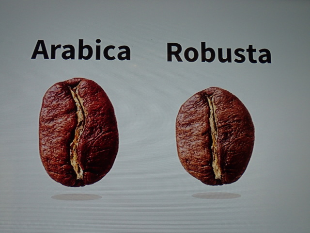 kávové zrná Arabika Robusta kávové zrno káva