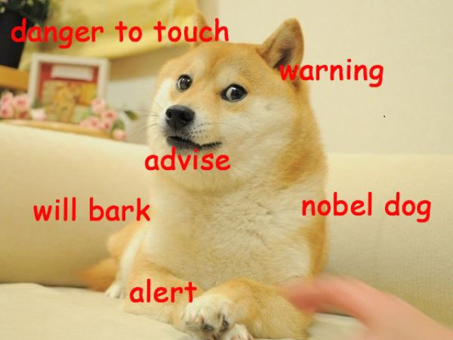 Mem Doge