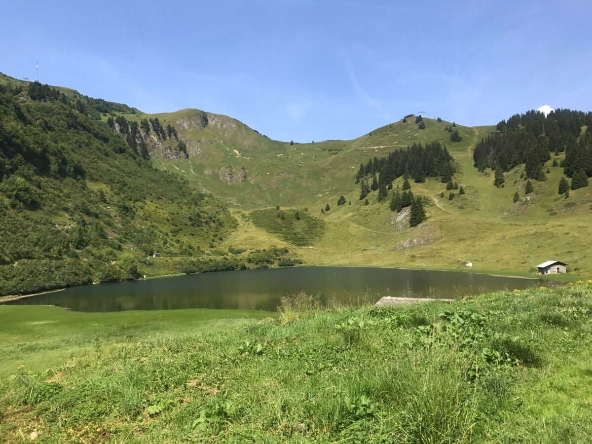 Švajčiarsko, jazero, Alpy