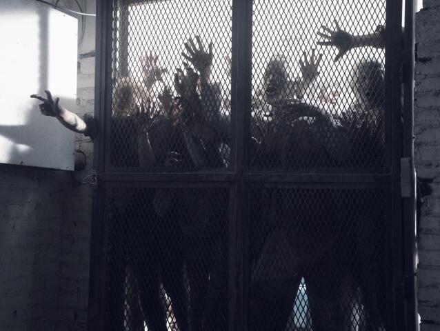 fear the walking dead, zombie, zombík, živí mŕtvi,
