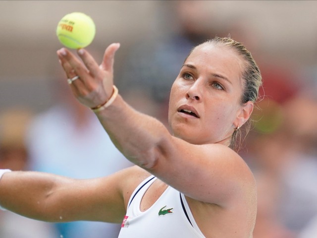 Dominika Cibulková