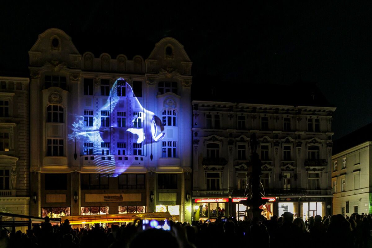 SR Biela noc festival umenie súčasné BAX