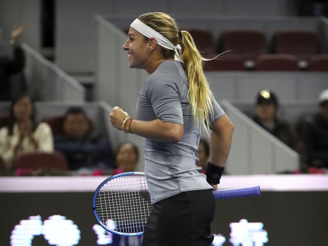 Dominika Cibulková