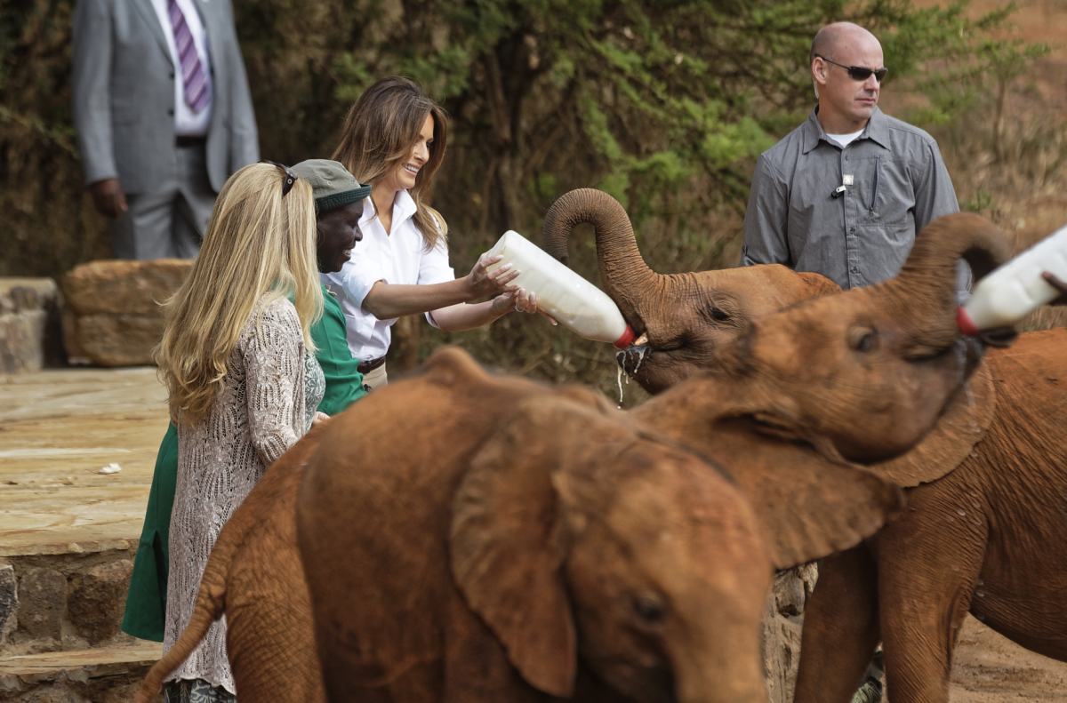V Nairobi navštívila Melania Trump útulok pre slonia mláďatá a zúčastnila sa aj na ich kŕmení. 