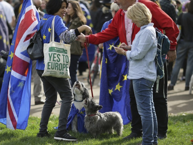 Brexit británia protest pes