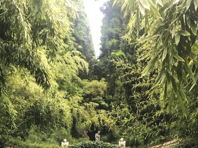 Giardini Hanbury, botanická záhrada