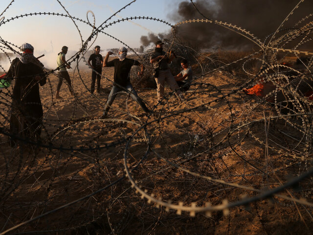 gaza, protest