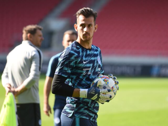 SR futbal LN Slovensko Česko Dúbravka