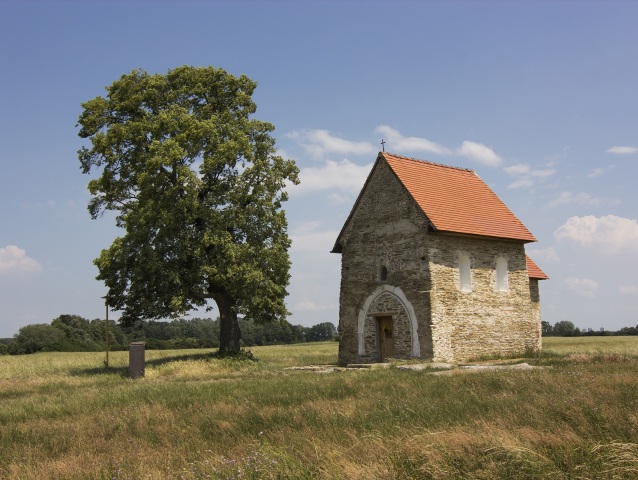 lipa