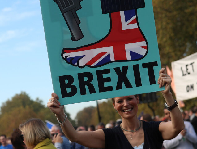 protest, brexit