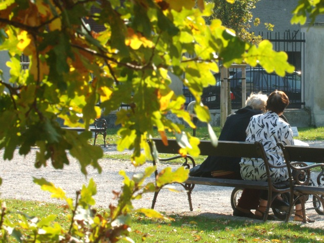 jeseň lavička tety park listy