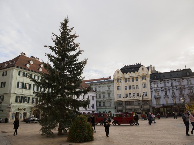 SR Bratislava vianočný stromček osadenie strom hlavné námestie