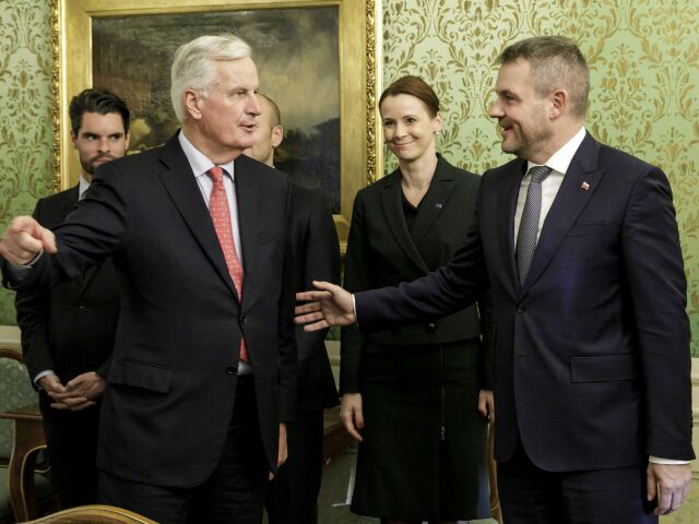 pelle, barnier