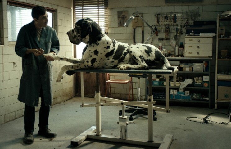 Dogman