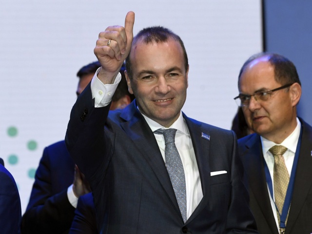manfred weber