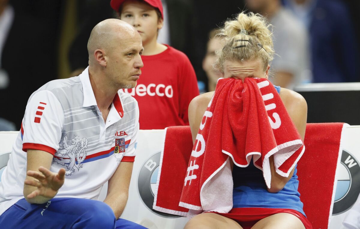 Petr Pála, Kateřina Siniaková