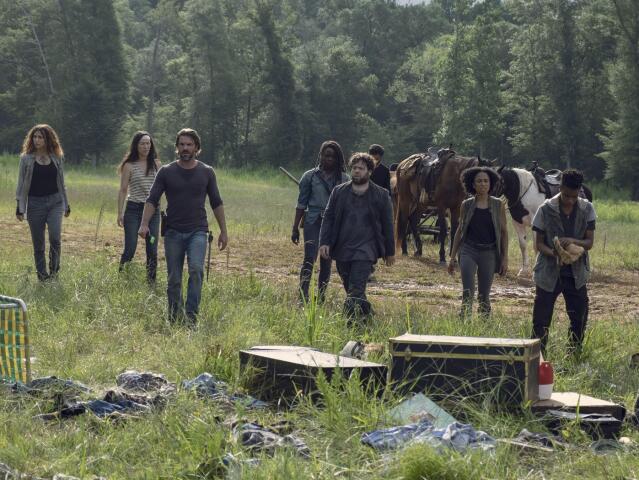 the walking dead, walking dead,