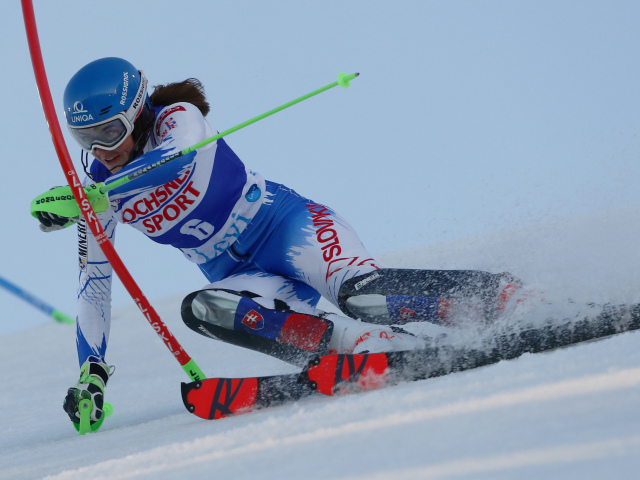 Vlhová