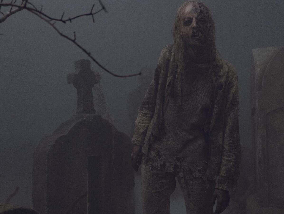 the walking dead, walking dead, zombíci, zombík,