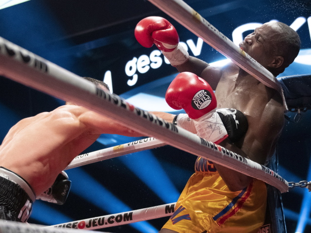 Oleksandr Gvozdyk, Adonis Stevenson