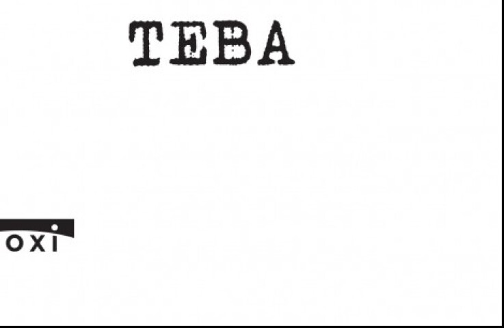 Cez seba zmením teba, Jan Menděl