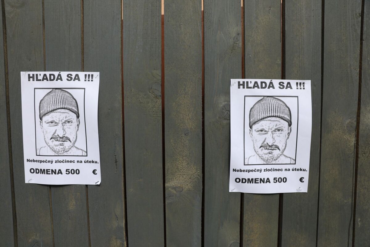 seriál autoškola, autoškola,