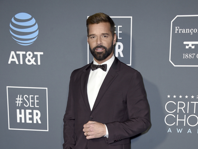 Spevák a herec Ricky Martin.