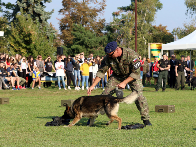 Vojaci, kynologia, ozbrojene sily